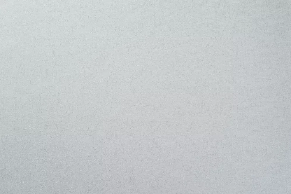 *Обои декор г.т. Freedom Перо-уни 10м*1,6м 