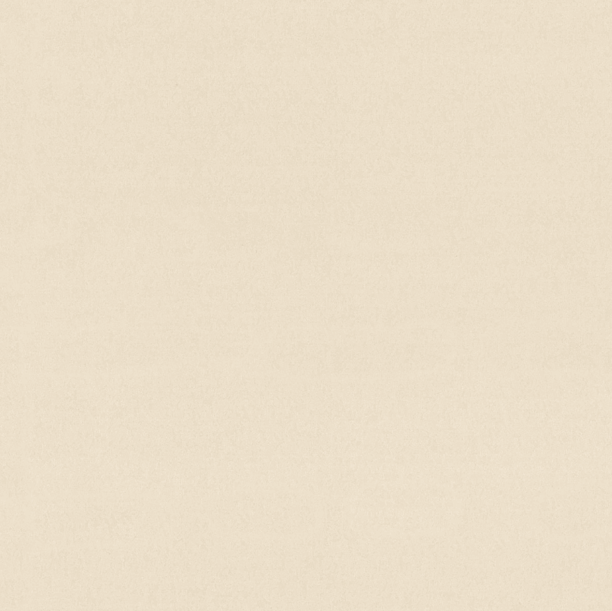 Обои винил гор. тисн. Chantelle Euro Decor 10,05*1,06м 9299-02