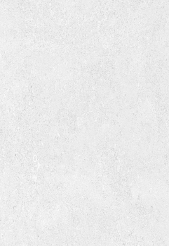 Плитка Киото 7С 400*275 Керамин