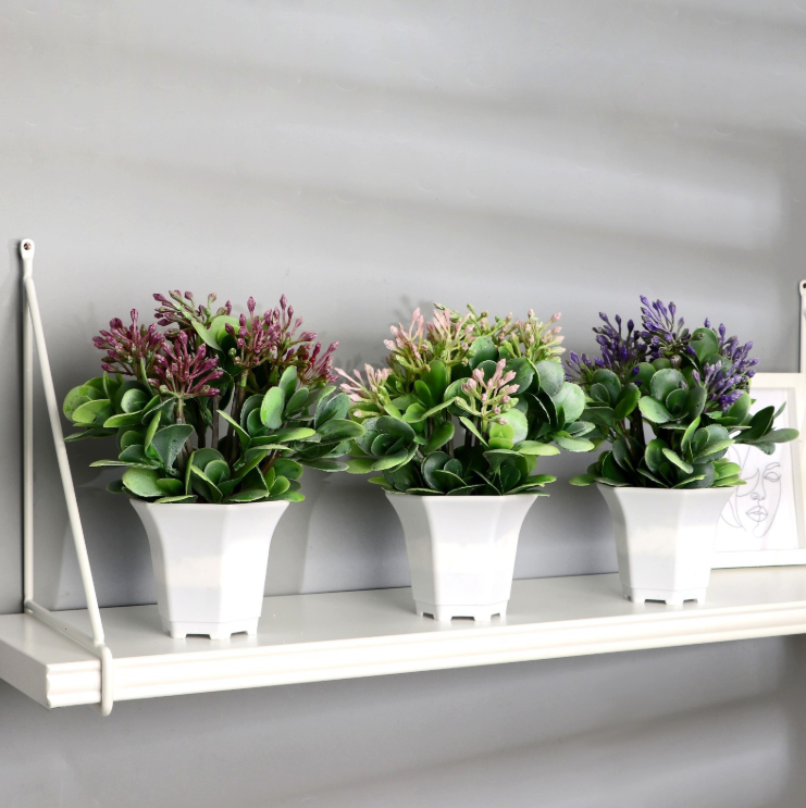 Бонсай в горшке "Сенполия галант" 14*23 см микс 9222725