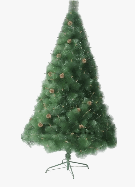 Сосна Сибирская У-АН 18