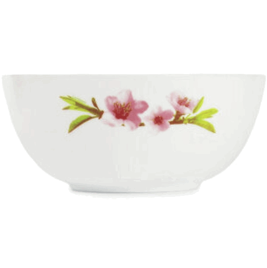 Салатник УОТЕР КОЛОР 21см Q1536