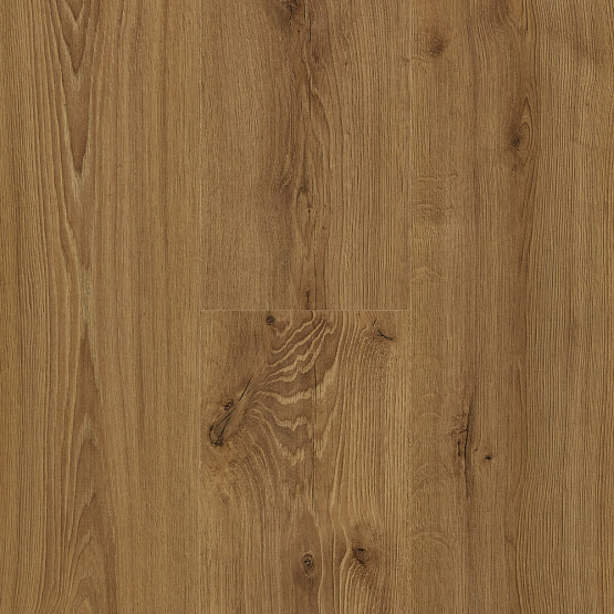 клен бриони