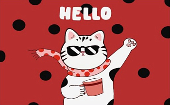 Коврик придверный Dekorelle LAPSHA 256-9.1, разм. 45*75см 