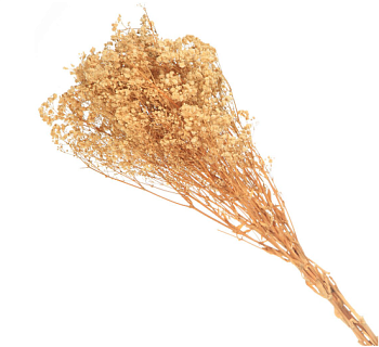 Цветы искус. "Гипсофила" 66см цвет желтый 993-0421