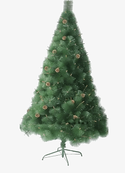 Сосна Сибирская У-АН 18