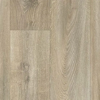 Линолеум Texpro Дуб Модерн W43 3,5м 