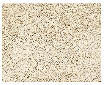 Плёнка с/к MAXIFIX 45см/2м №59015