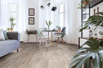 Линолеум MASTER HAVANNA OAK 1_416M - 4,0м