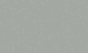 Обои винил. на флиз. основе г.т. ER Light Breeze 61043-05 10,05*1,06м